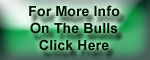 For More Info On The Bulls Click Here