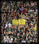 Bull Fans